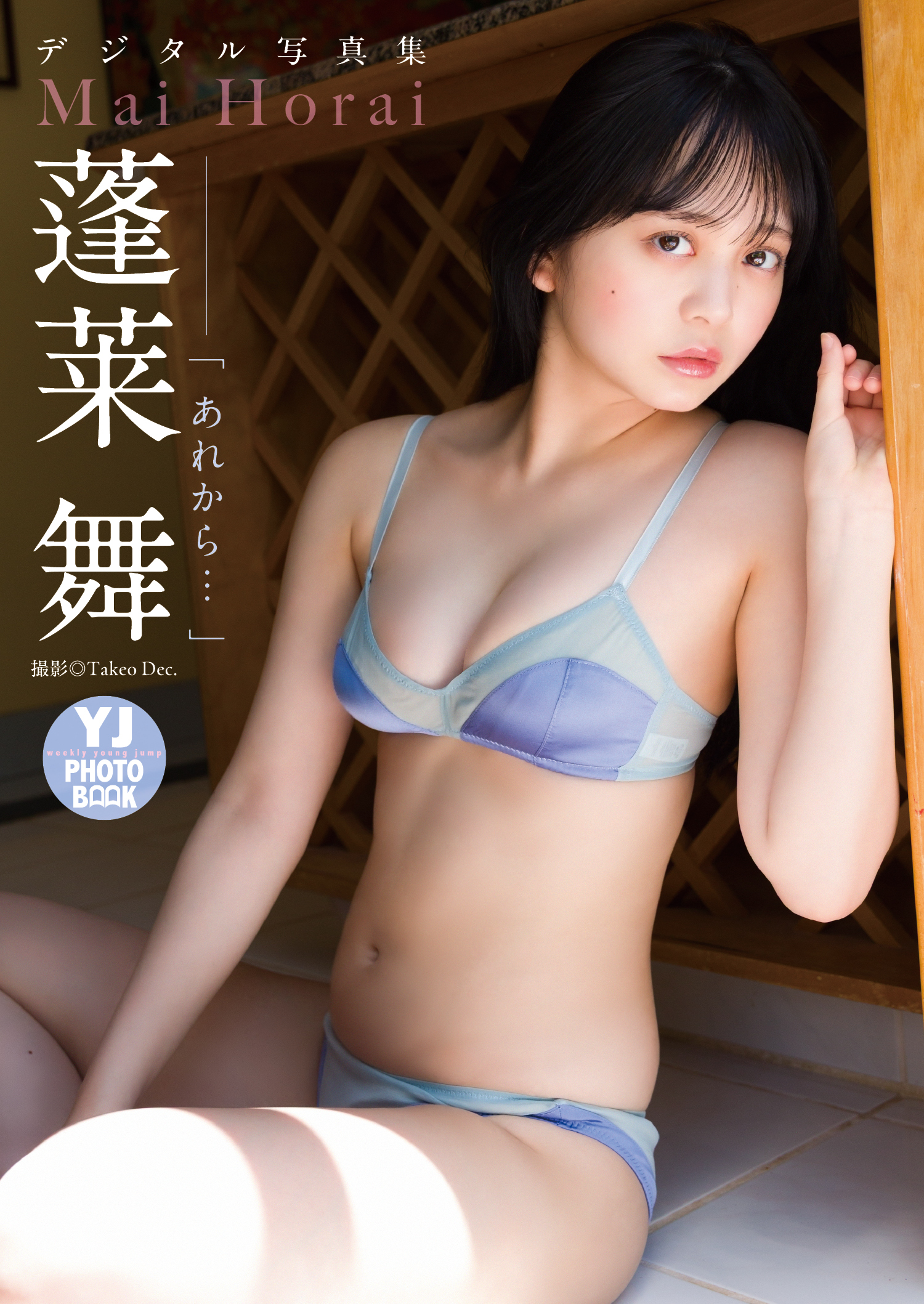 【デジタル限定 YJ PHOTO BOOK】蓬莱舞写真集「あれから…」【57P 94MB】-石川澪写真网