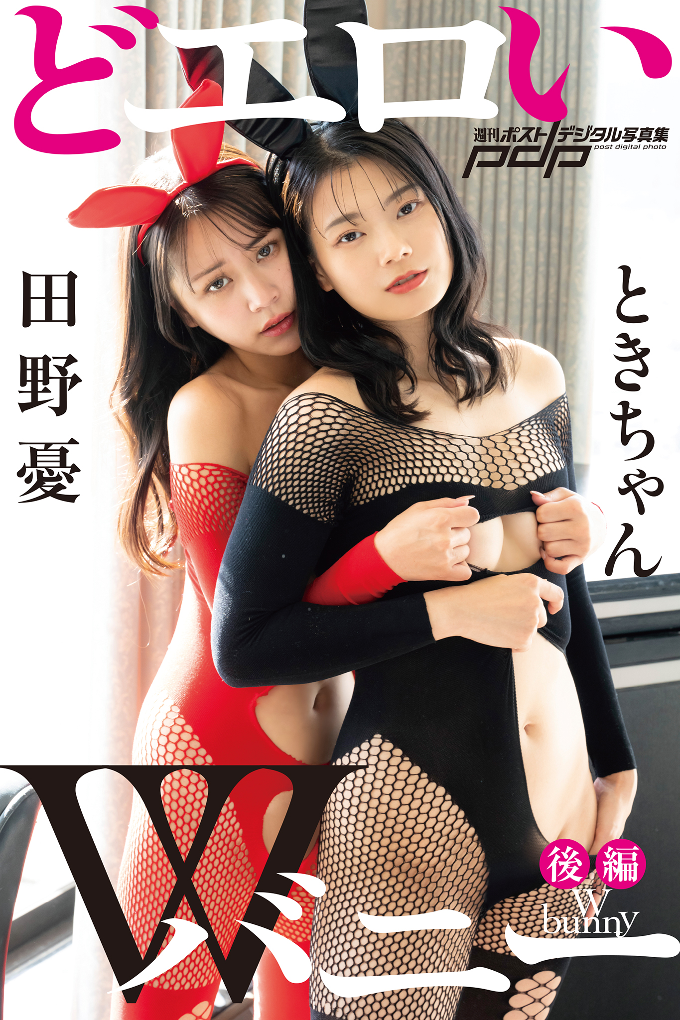 ときちゃん×田野憂 どエロいWバニー【後編】【91P 84MB】-石川澪写真网
