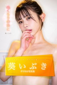 ぬくもりのあと　葵いぶきデジタル写真集【170P 121MB】-石川澪写真网